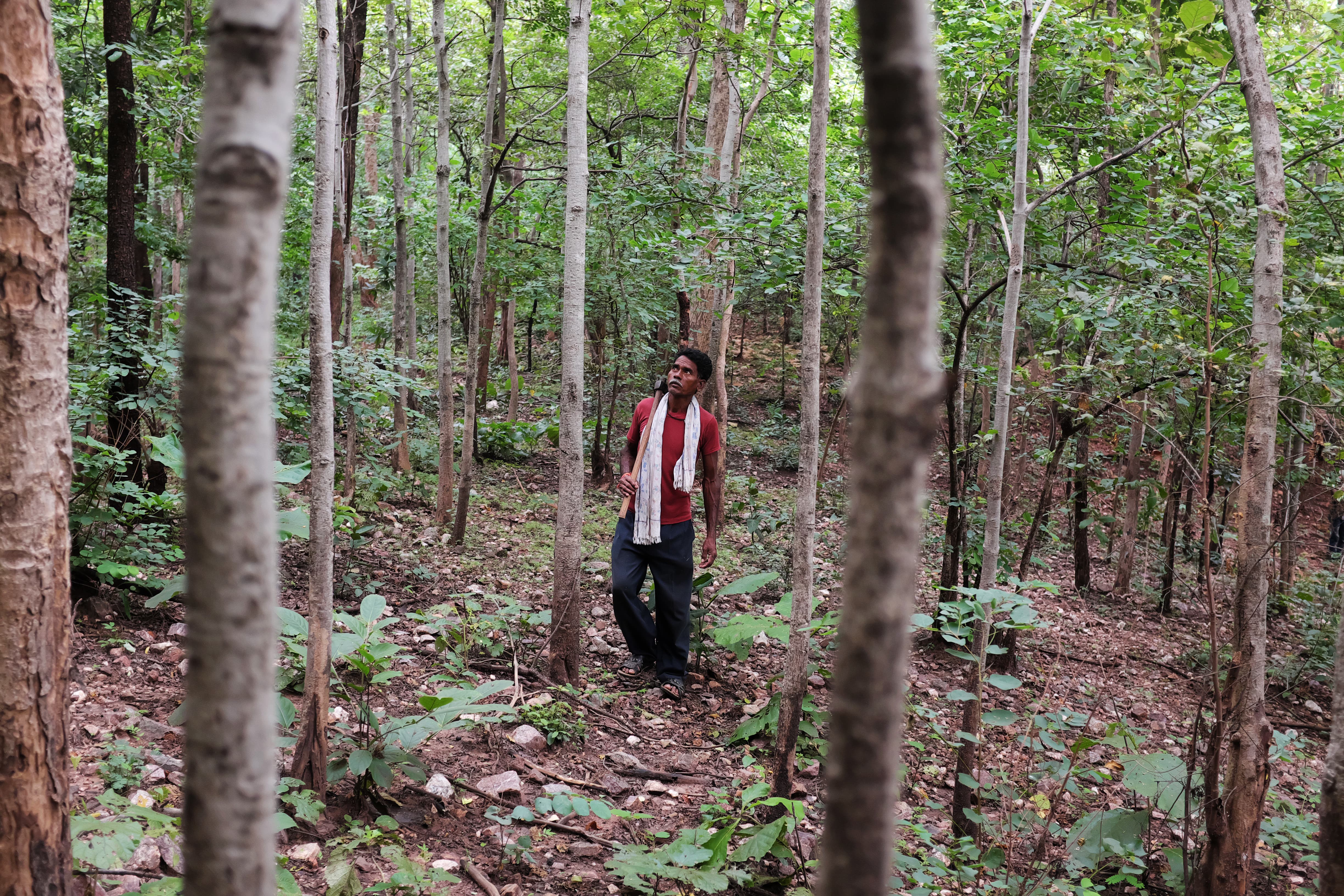 tribal people in the forest